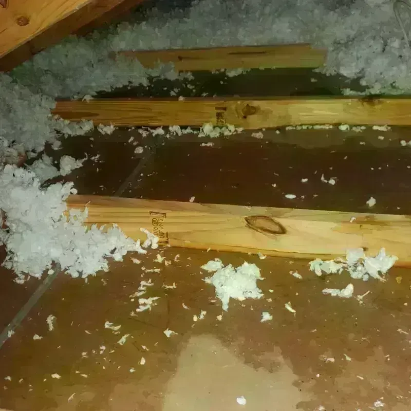 Attic Water Damage in Memphis, FL