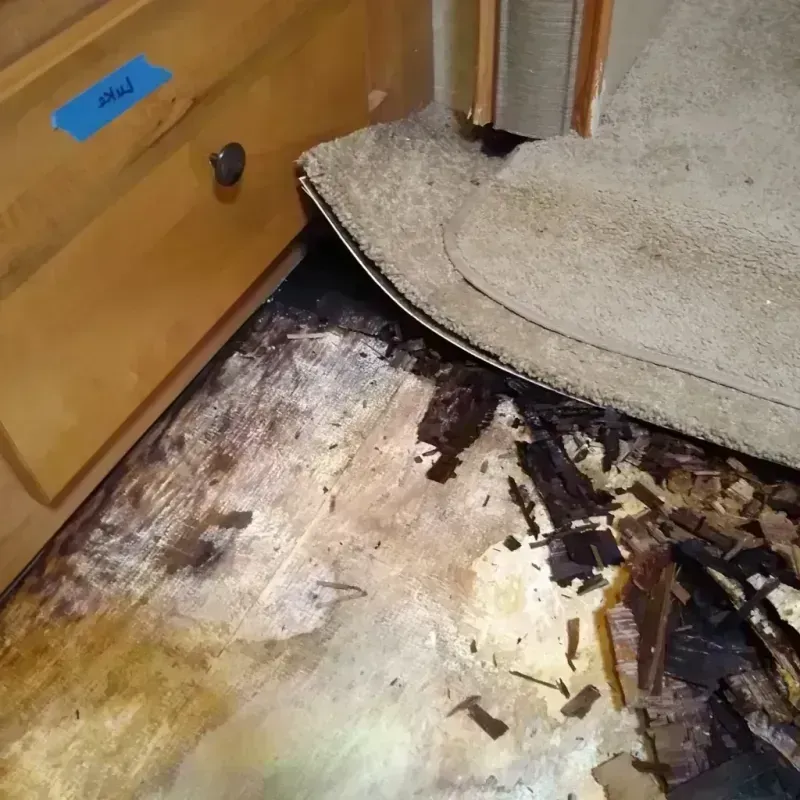 Wood Floor Water Damage in Memphis, FL